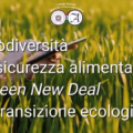 Esami Abilitanti 2024